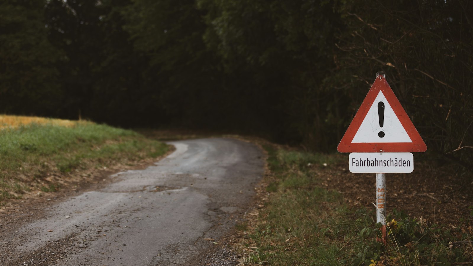 A warning sign beside a country road