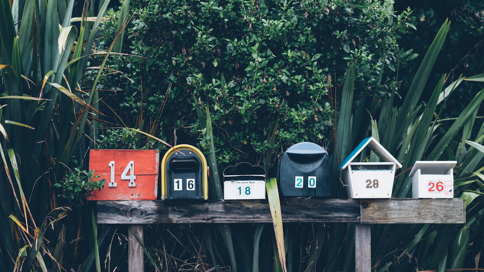 A row of numbered mailboxes in front of a hedge