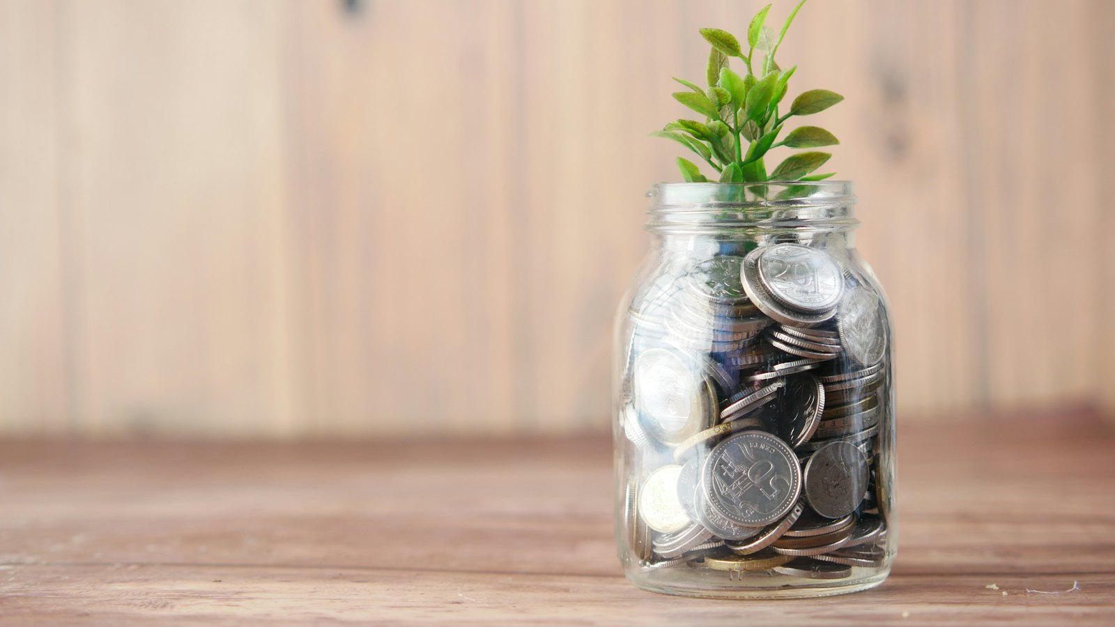 A glass jar of coins with a plant growing from it