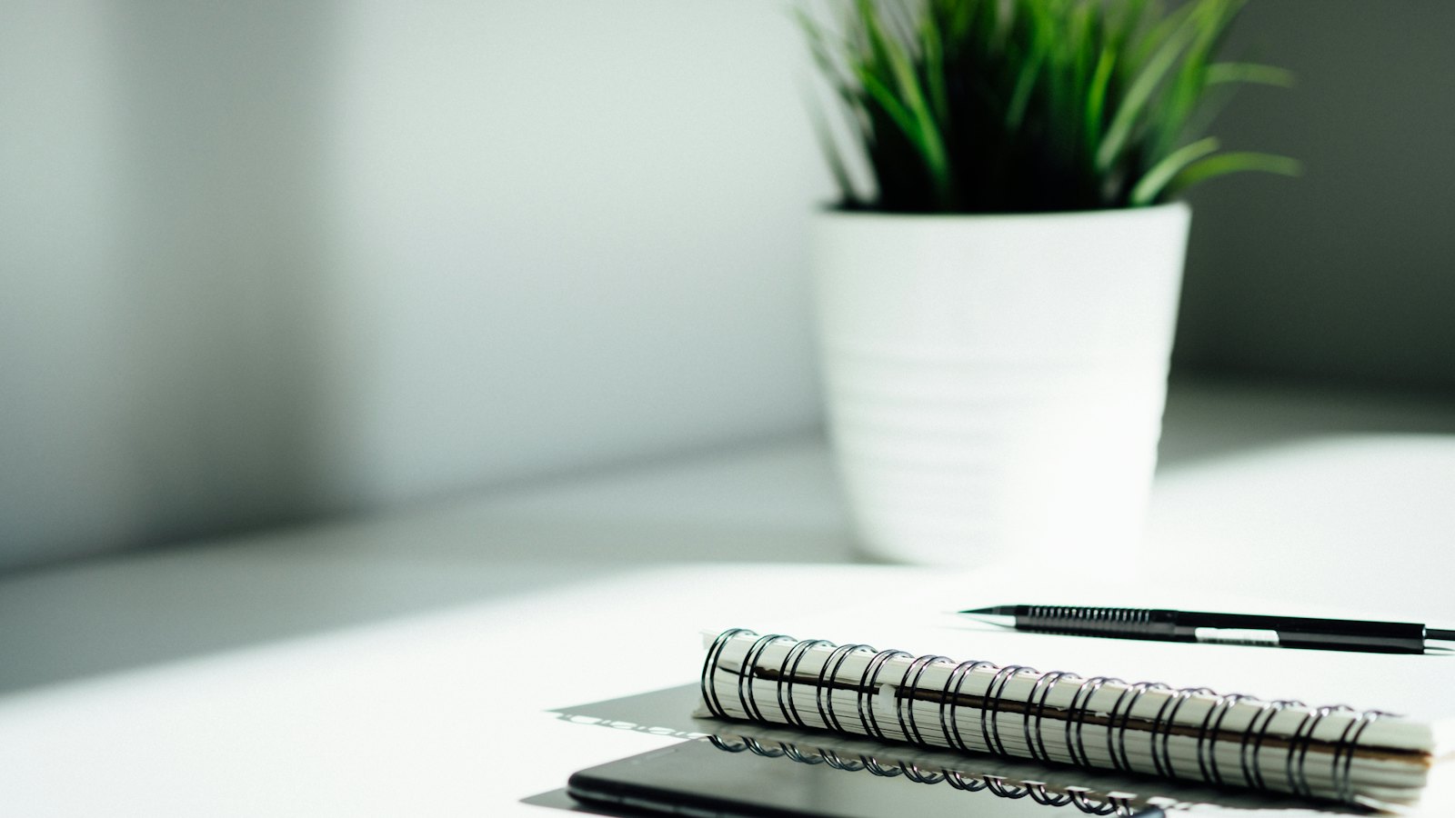 A notebook and pen on a desk beside a plant